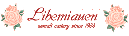 LIBEMIAUEN -Somali cattery since 1984-